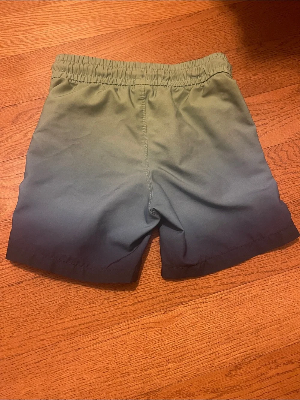 GAP Boys Ombre Green to Blue Swim Trunks
